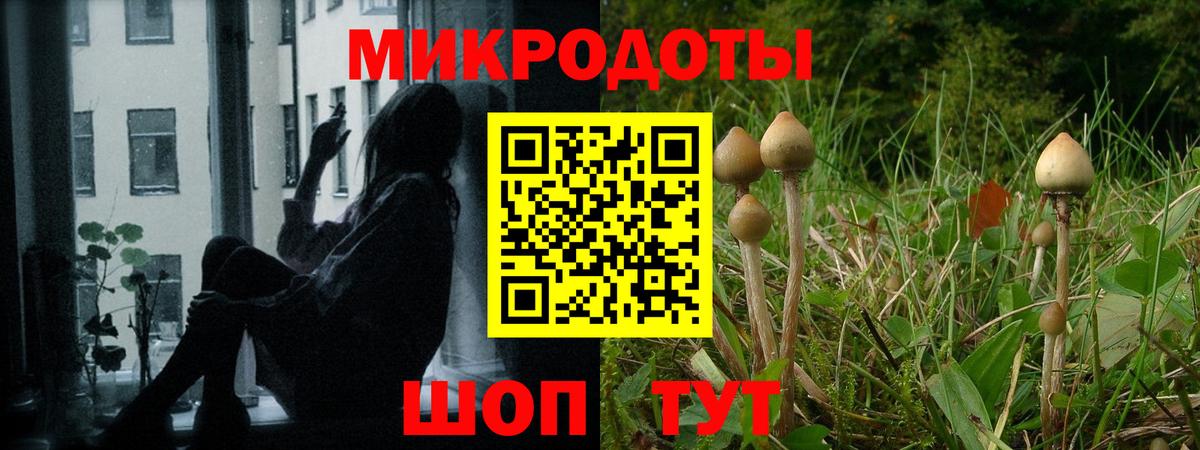 Псилоцибиновые грибы прущие грибы  Вход с VPN  как найти   Котлас 