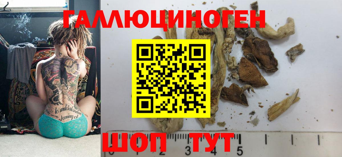 Галлюциногенные грибы GOLDEN TEACHER Котлас
